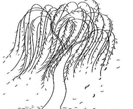 风简笔画 风筝简笔画