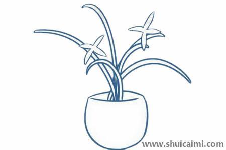 兰花儿童简笔画
