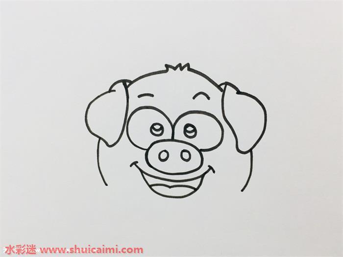小猪简笔画怎么画漂亮彩色