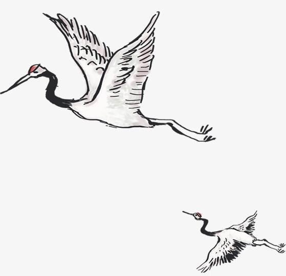 仙鹤简笔画 仙鹤简笔画简单又漂亮