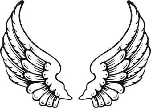 翅膀简笔画图片大全 翅膀简笔画图片大全可爱
