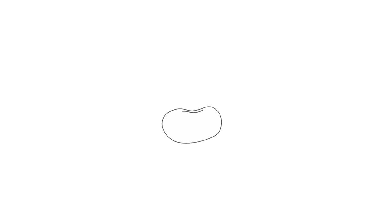 种子简笔画怎么画 种子简笔画顺序
