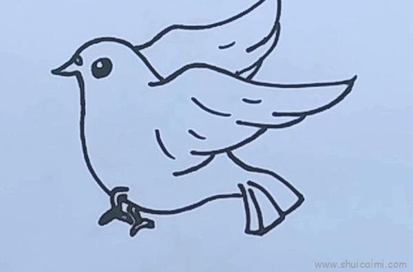 鸽子儿童画怎么画 鸽子简笔画画法