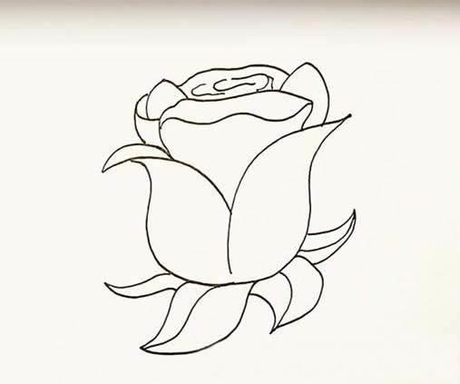 玫瑰简笔画 玫瑰简笔画简单又好看