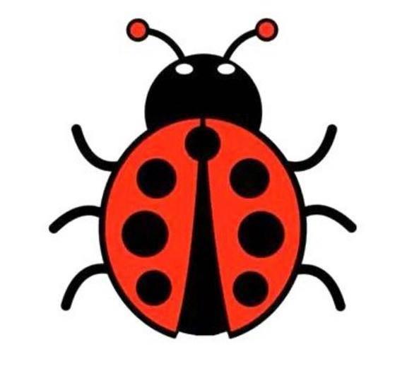 七星瓢虫简笔画 七星瓢虫简笔画图片大全