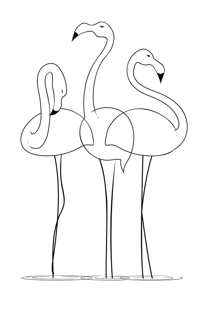 火烈鸟简笔画 火烈鸟简笔画图片
