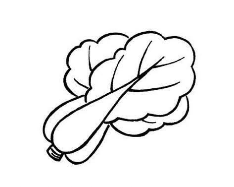 白菜简笔画图片大全 白菜简笔画图片大全大图彩色