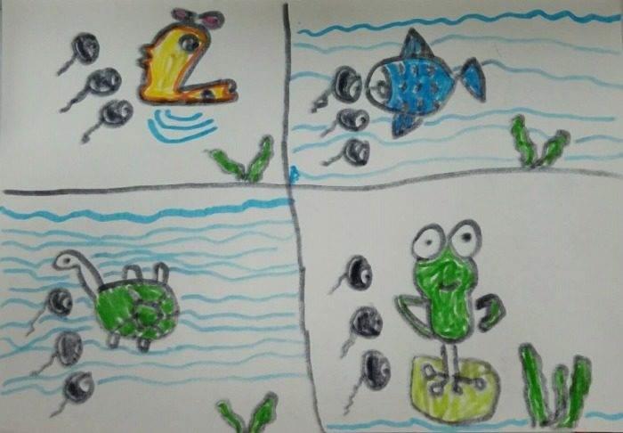 小蝌蚪找妈妈简笔画 连环画小蝌蚪找妈妈简笔画