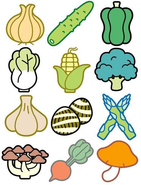 蔬菜简笔画 蔬菜简笔画图片带颜色