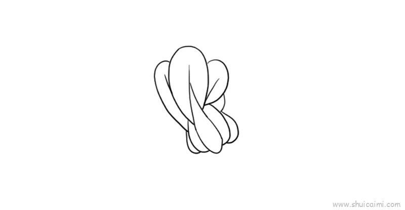 白菜儿童画怎么画 白菜简笔画画法