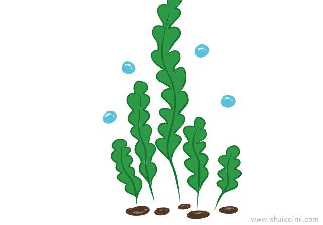 水草儿童画怎么画 水草简笔画步骤