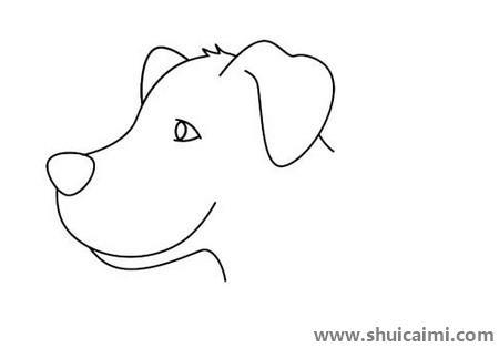 导盲犬儿童简笔画