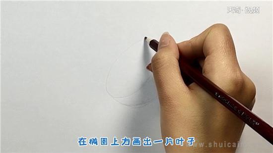 橙子简笔画怎么画 橙子简笔画顺序