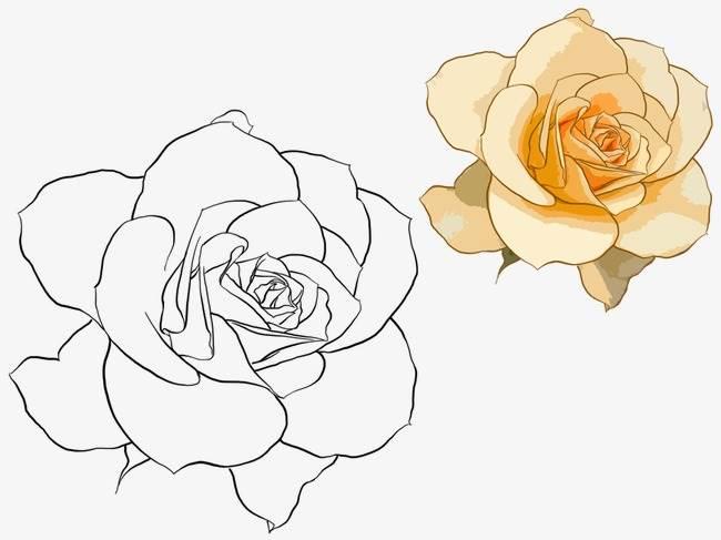 月季花简笔画图片大全 月季花简笔画图片大全大图