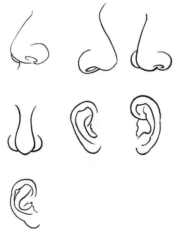 鼻子简笔画 鼻子简笔画卡通可爱