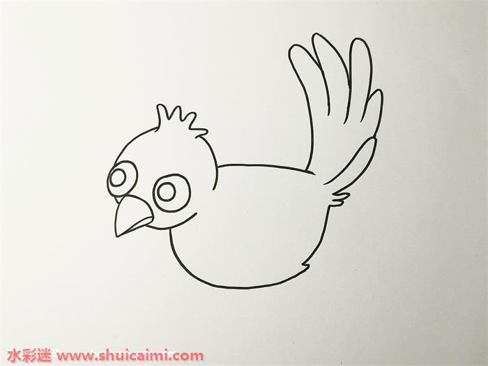 小鸟怎么画 小鸟简笔画步骤图