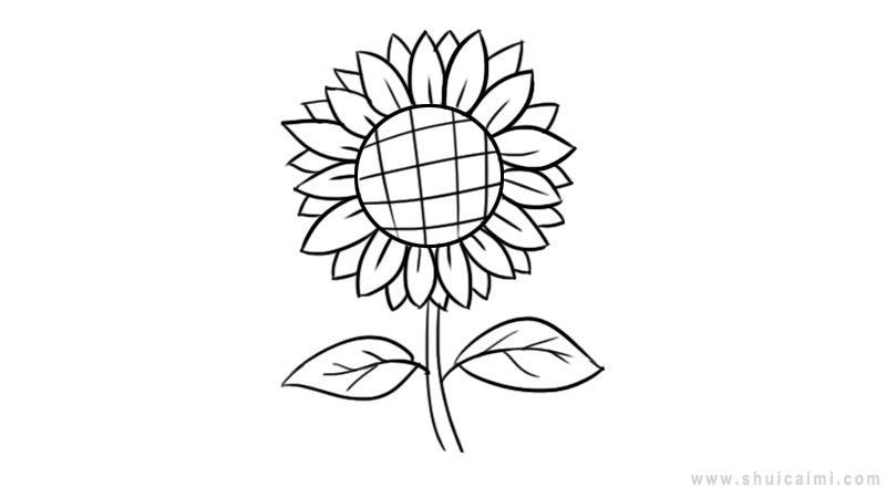 向日葵简笔画怎么画 向日葵简笔画步骤