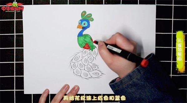 孔雀怎么画 孔雀简笔画简单易画彩色
