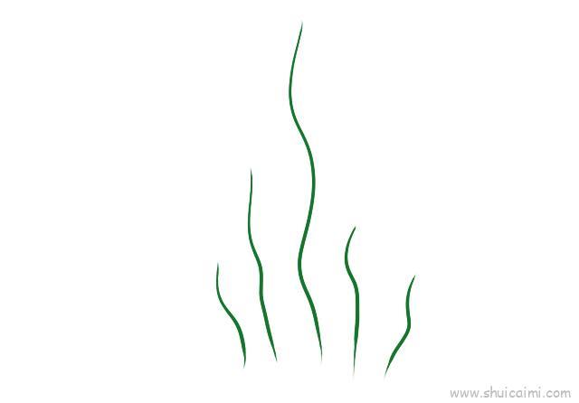 水草儿童画怎么画 水草简笔画步骤