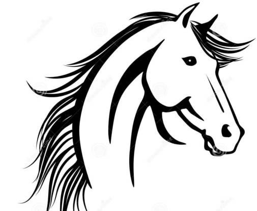 马的简笔画 马的简笔画儿童