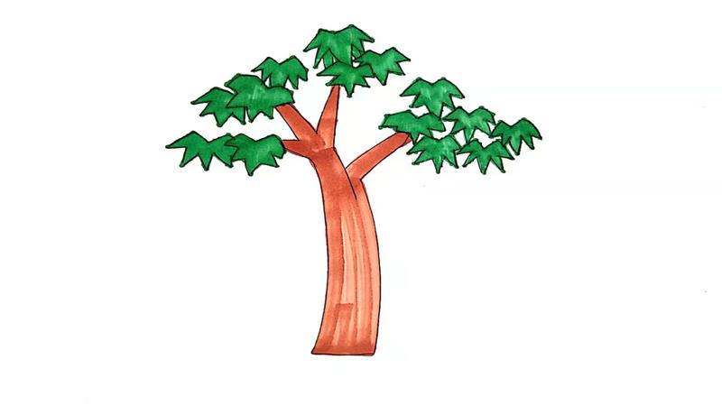 梧桐树简笔画怎么画 梧桐树简笔画步骤
