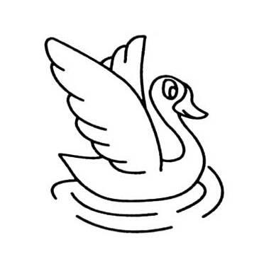 天鹅简笔画图片大全 天鹅简笔画图片大全漂亮