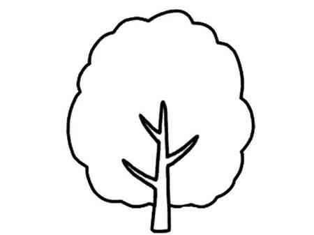 大树图片简笔画 秋天的大树图片简笔画