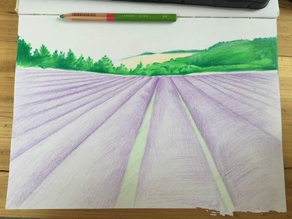 花海简笔画 花海简笔画图片简单