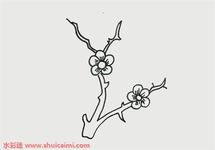 梅花怎么画 梅花简笔画简单又漂亮彩色