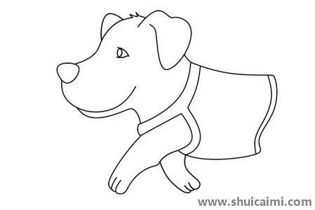导盲犬儿童简笔画