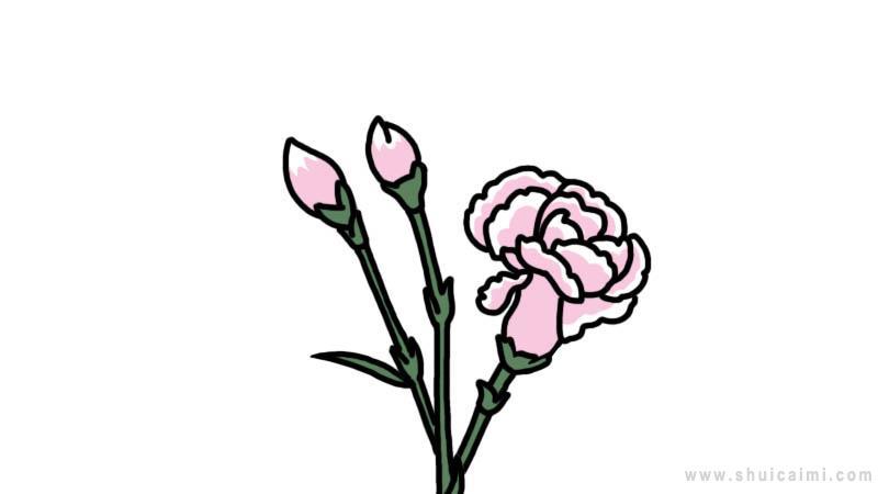 康乃馨简笔画怎么画 康乃馨简笔画画法