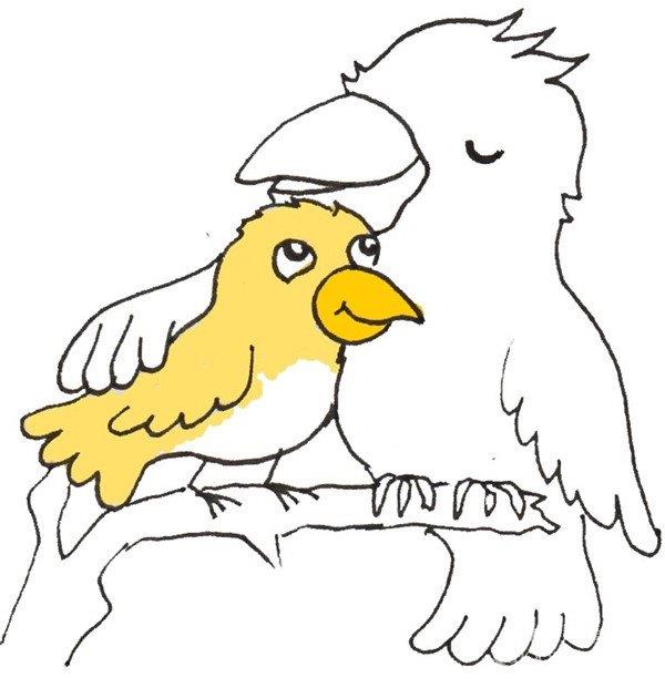黄鹂鸟妈妈和宝宝的简笔画怎么画 黄鹂鸟妈妈和宝宝的简笔画图片大全