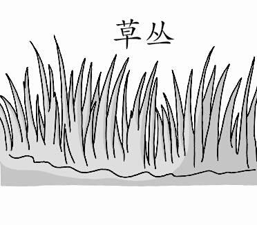 草简笔画 草丛简笔画