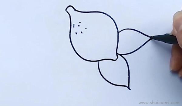 柠檬儿童画怎么画 柠檬简笔画步骤