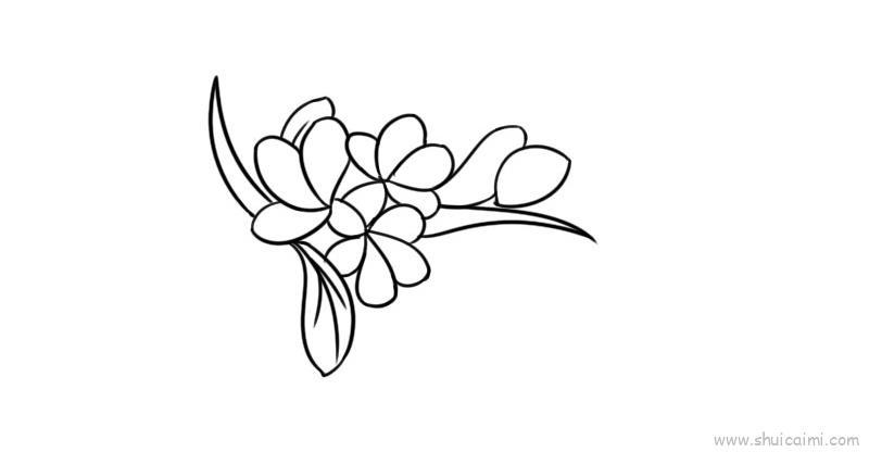 摘抄花边儿童画怎么画 摘抄花边简笔画图片