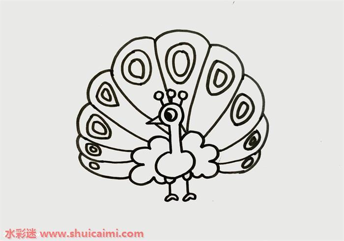 一只美丽孔雀怎么画 孔雀简笔画图片大全彩色