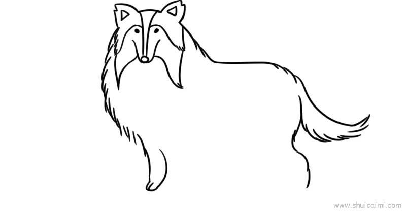 牧羊犬儿童画怎么画 牧羊犬简笔画简单又好看