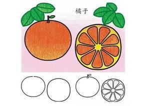 水果简笔画图片大全大图 各种水果简笔画图片大全大图