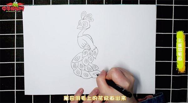 孔雀怎么画 孔雀简笔画简单易画彩色