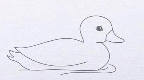 鸭子的简笔画 鸭子的简笔画简单又好看