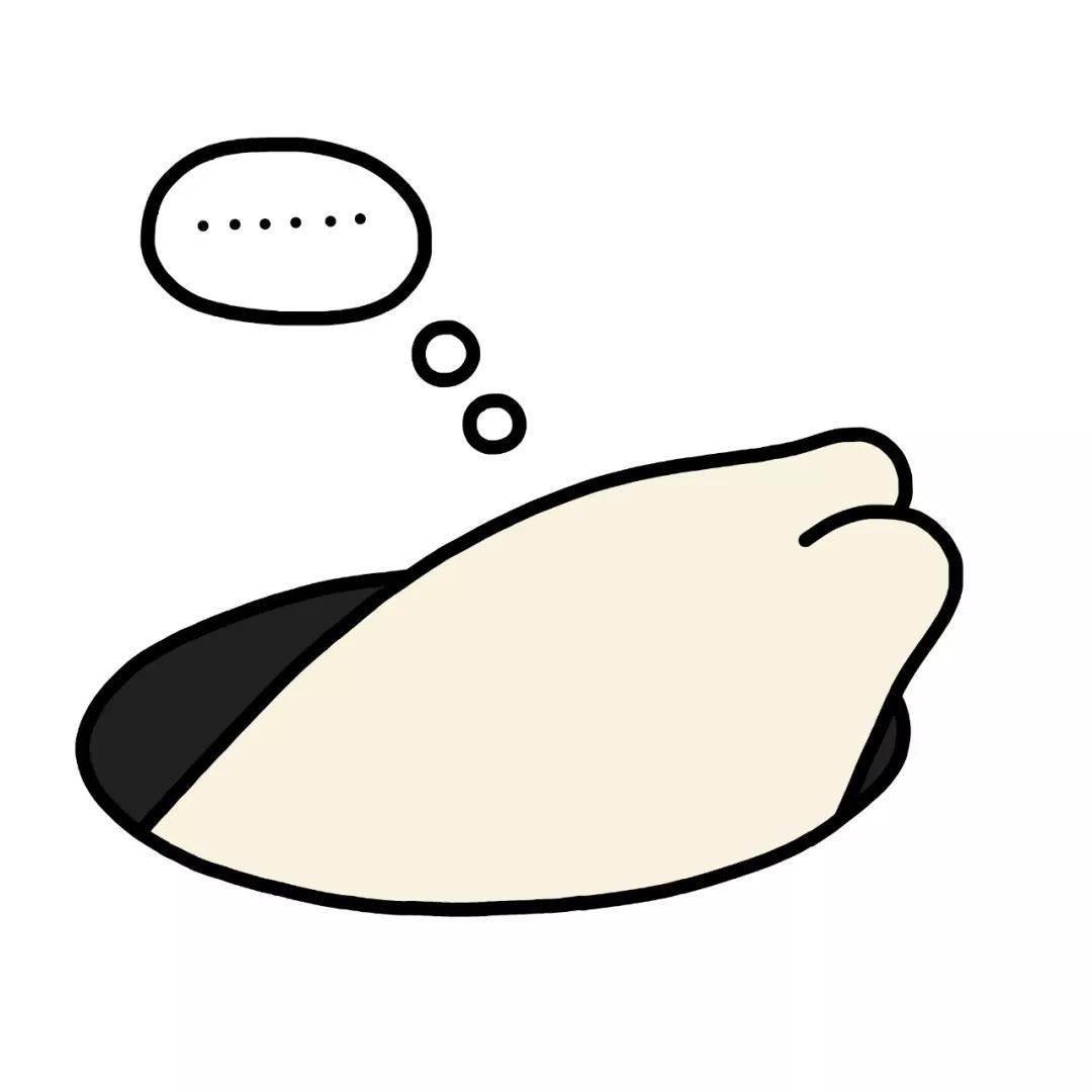 海豹简笔画 海豹简笔画图片