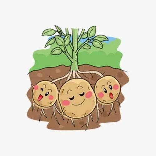 土豆简笔画 土豆简笔画儿童简笔画