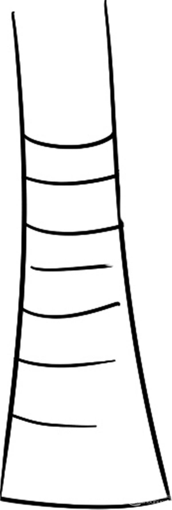 帅气的椰子树的简笔画怎么画 帅气的椰子树简笔画顺序