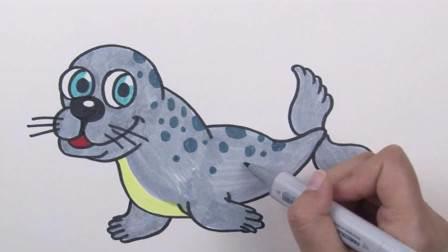 海豹简笔画 海豹简笔画图片