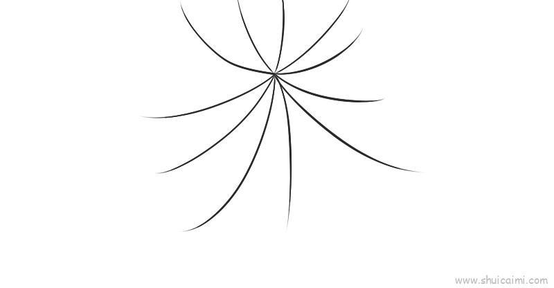 蜘蛛网儿童画怎么画 蜘蛛网简笔画步骤