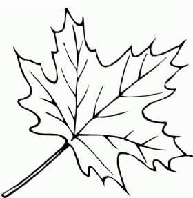 简笔画树叶 简笔画树叶边框