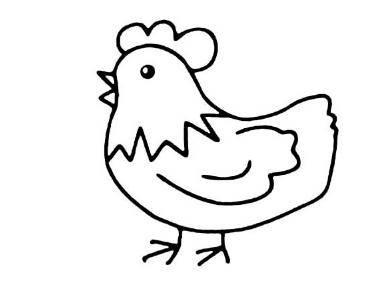 公鸡简笔画图片大全 公鸡简笔画彩图