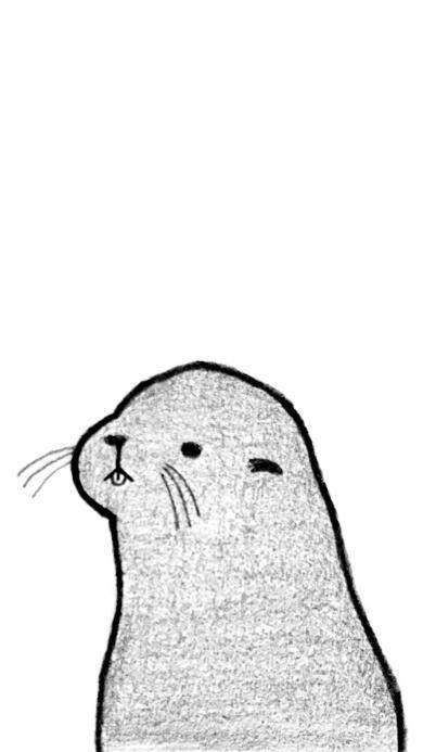 海豹简笔画 海豹简笔画图片