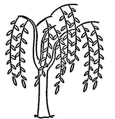 柳树简笔画 柳树简笔画图片带颜色