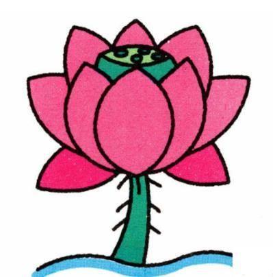 荷花简笔画 荷花简笔画图片